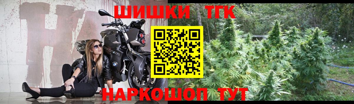 Конопля планчик Октябрьский